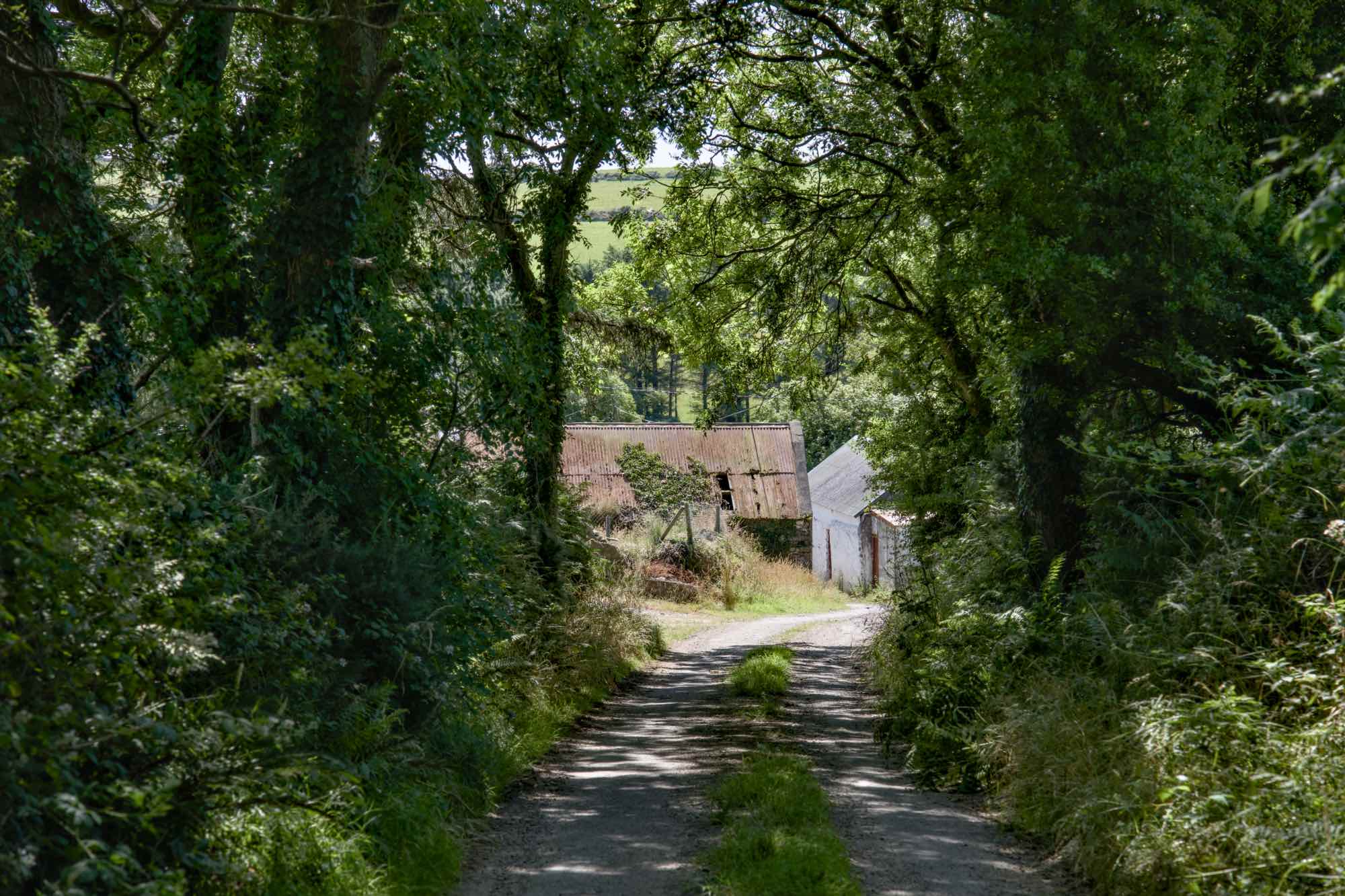 West Cork