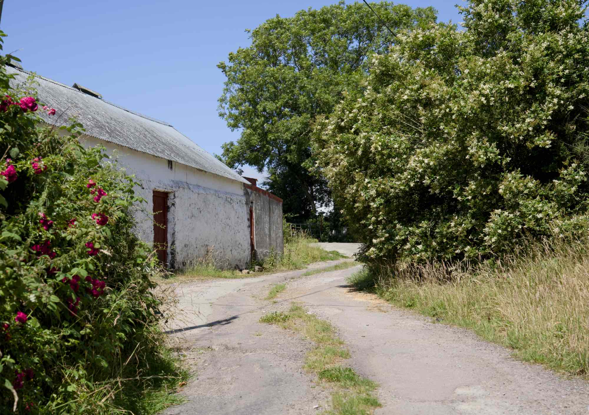 West Cork