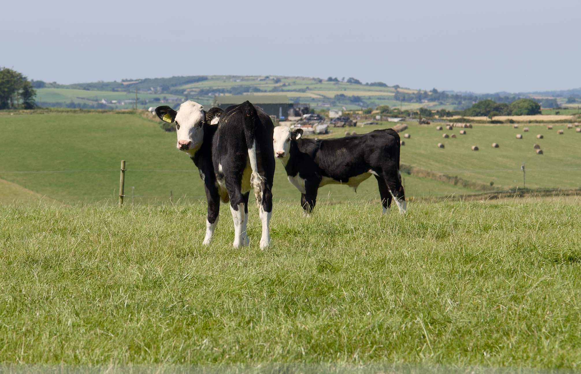 West Cork