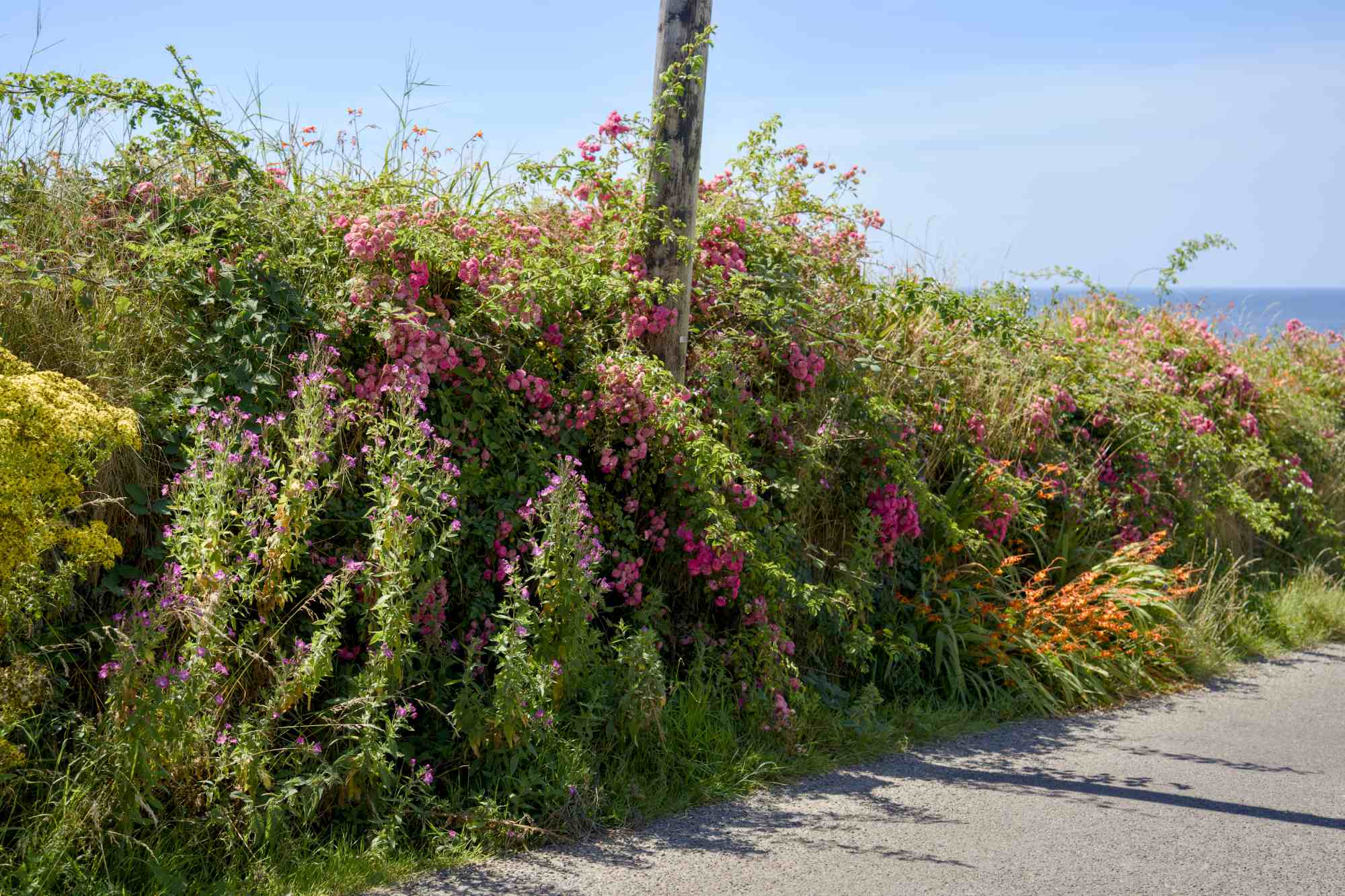 West Cork