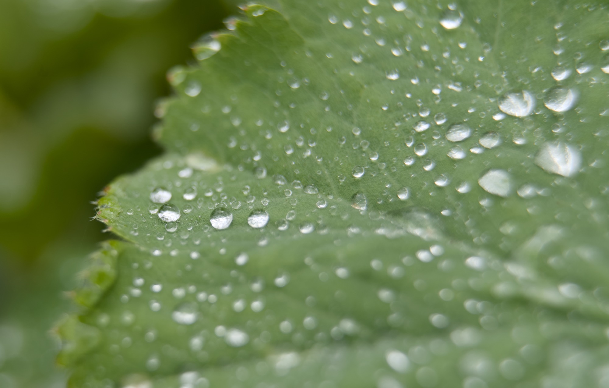 Extension tubes