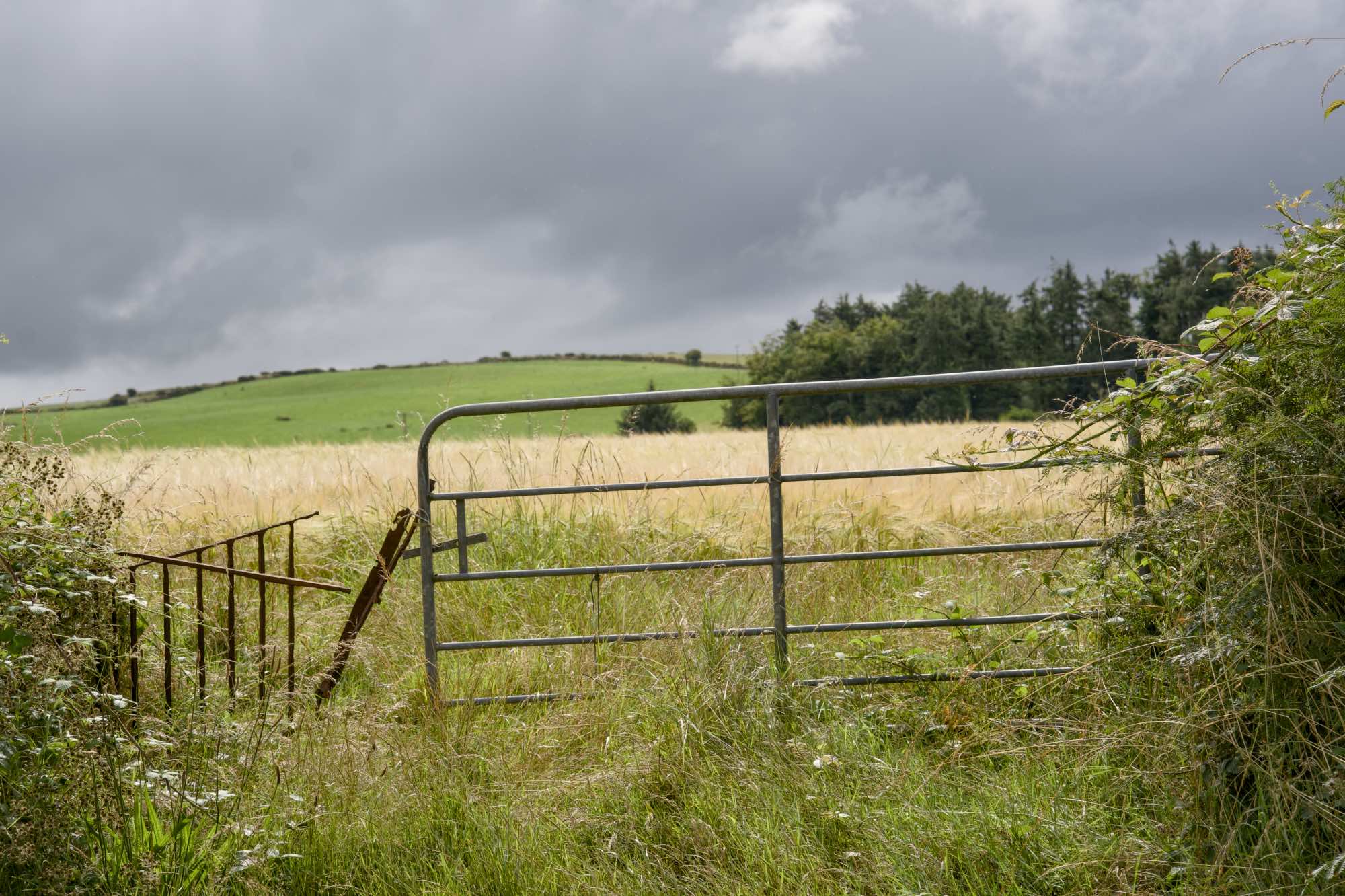 West Cork