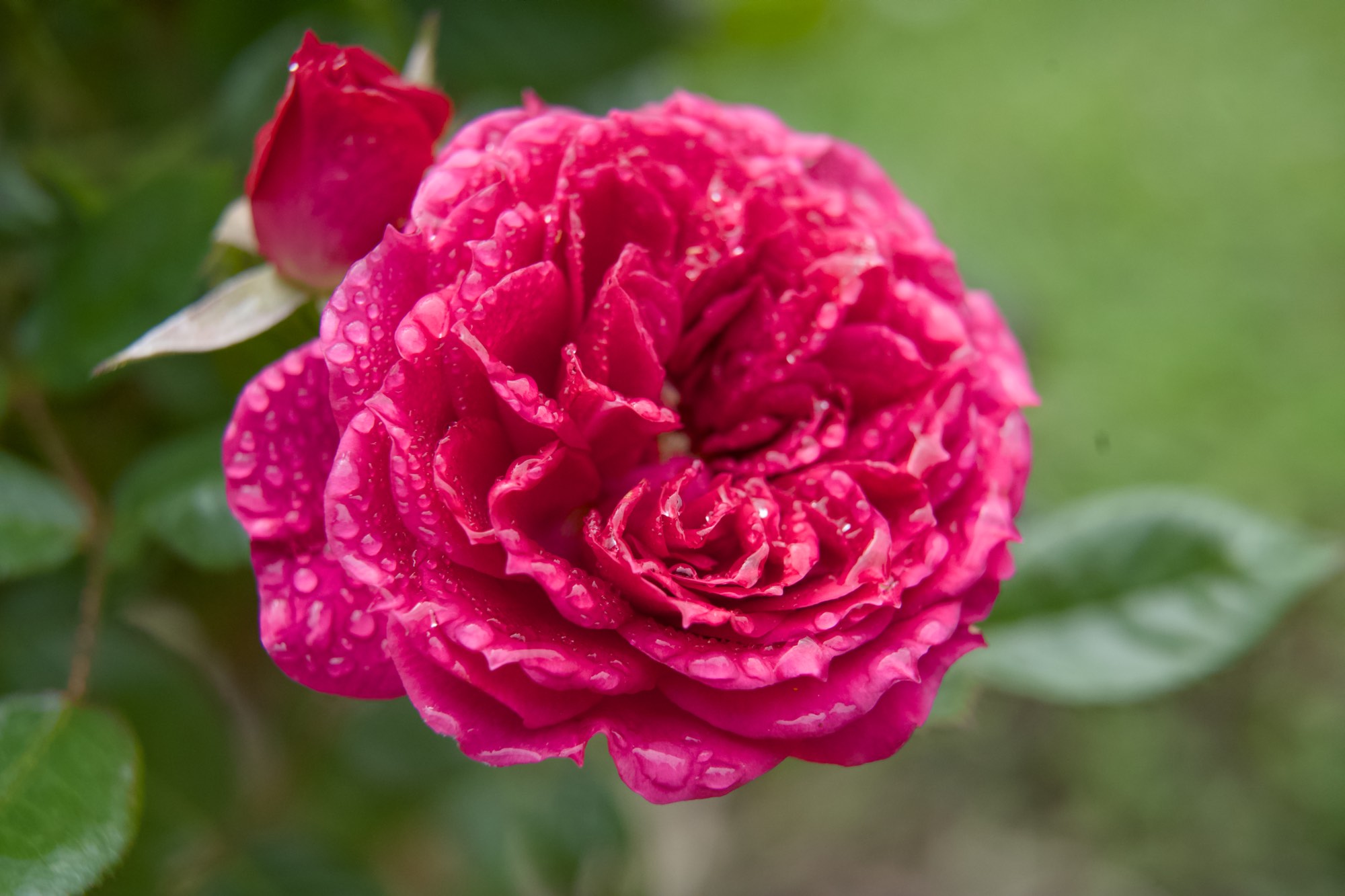 Extension tubes