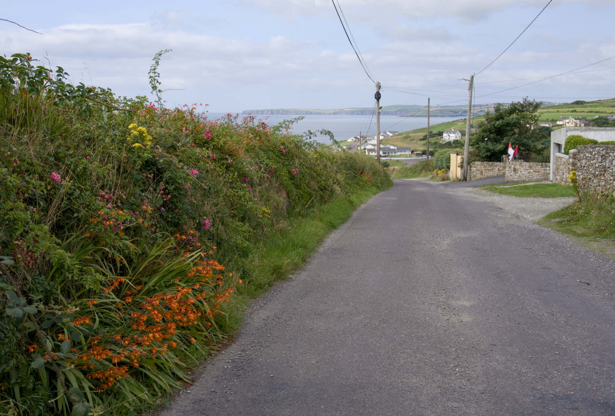 West Cork