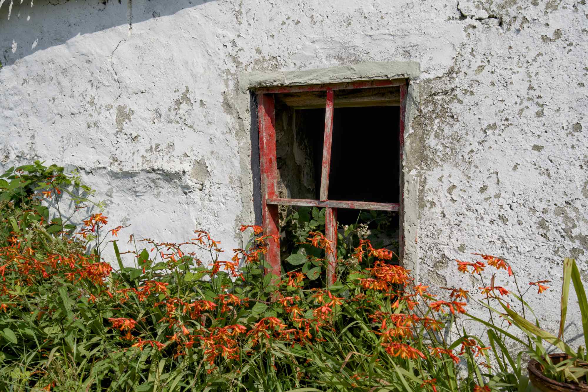 West Cork