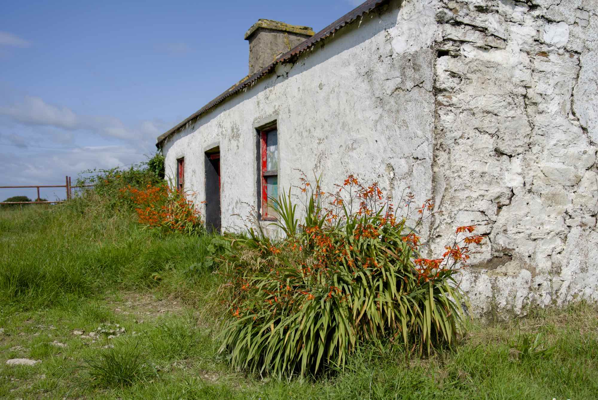West Cork