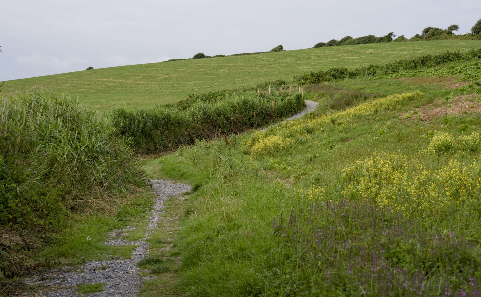 West Cork