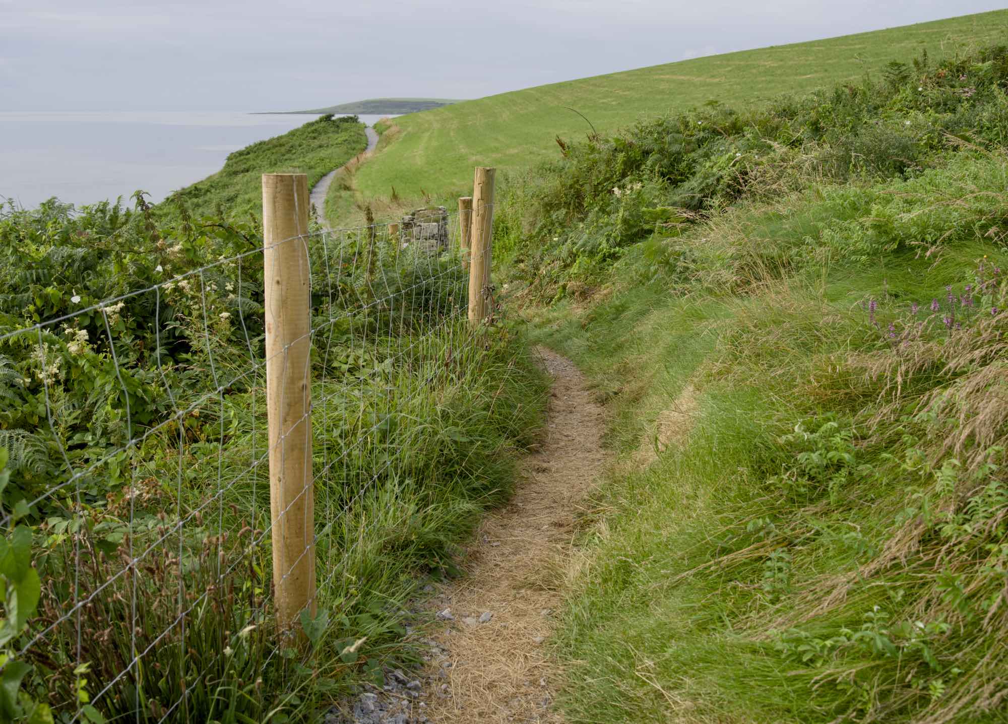 West Cork