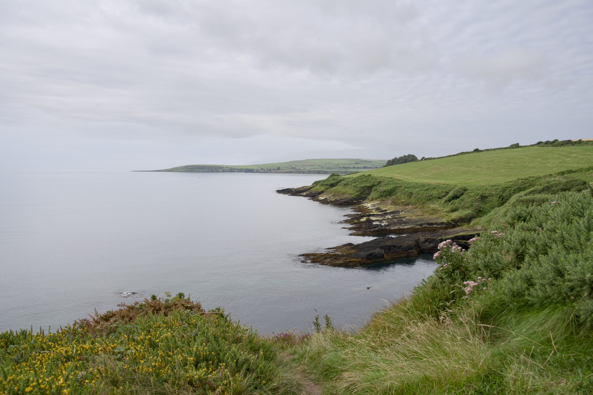 West Cork