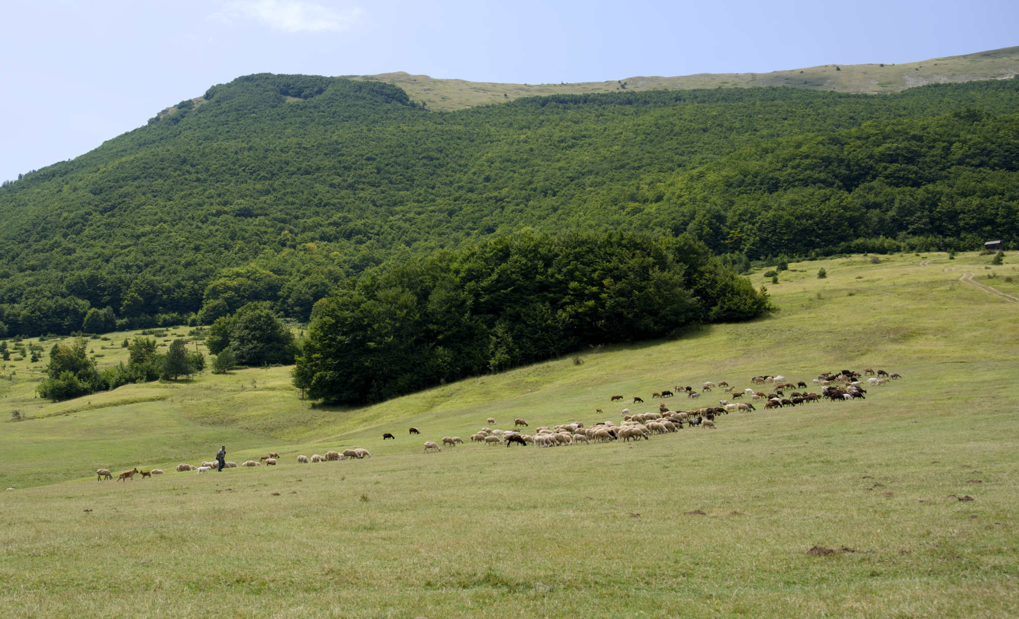 Passo San Leonardo