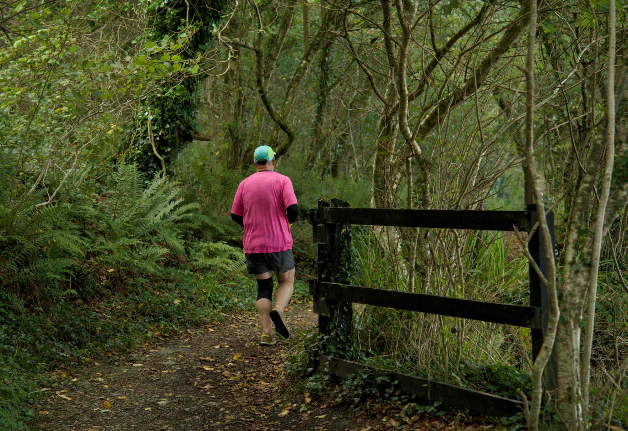 Courtmacsherry woods